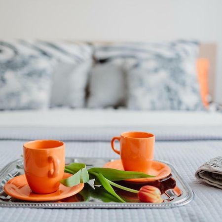 קרקוב Garden Apartment מראה חיצוני תמונה