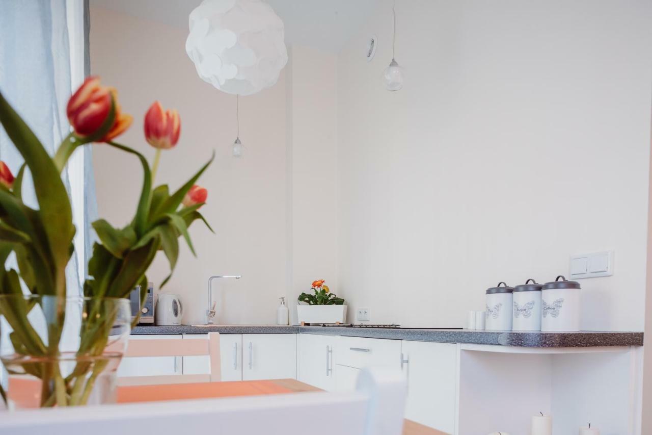 קרקוב Garden Apartment מראה חיצוני תמונה