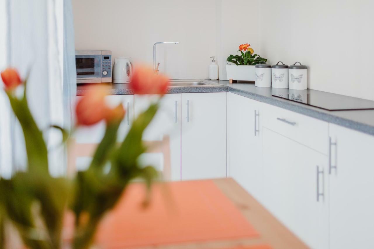 קרקוב Garden Apartment מראה חיצוני תמונה